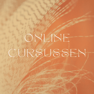 Online cursussen